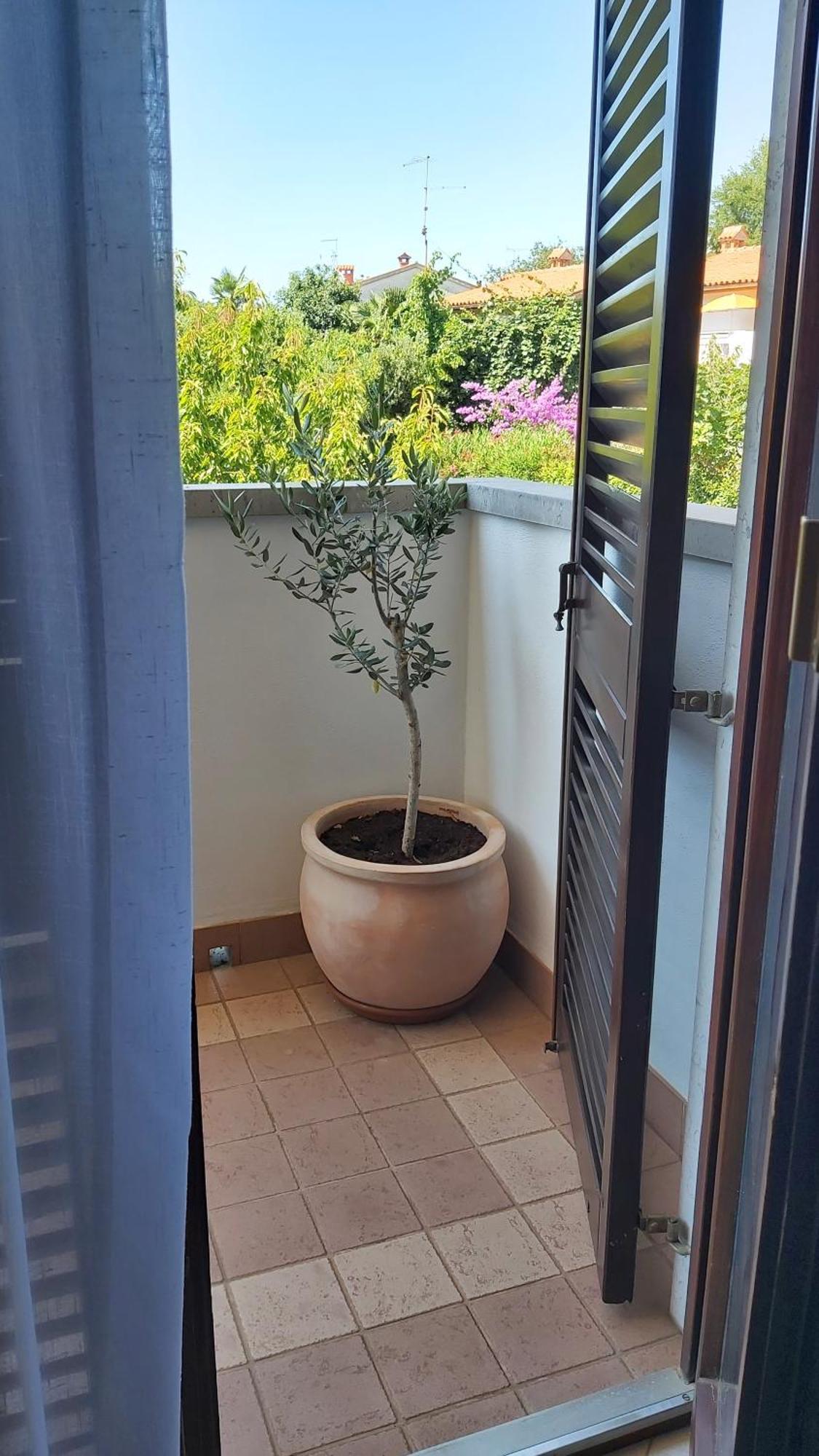 Apartments Villa Mirjam Poreč Buitenkant foto